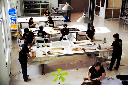 The Ultimate Hair Extension Retail Store in Perth: Tools, Accessories & More